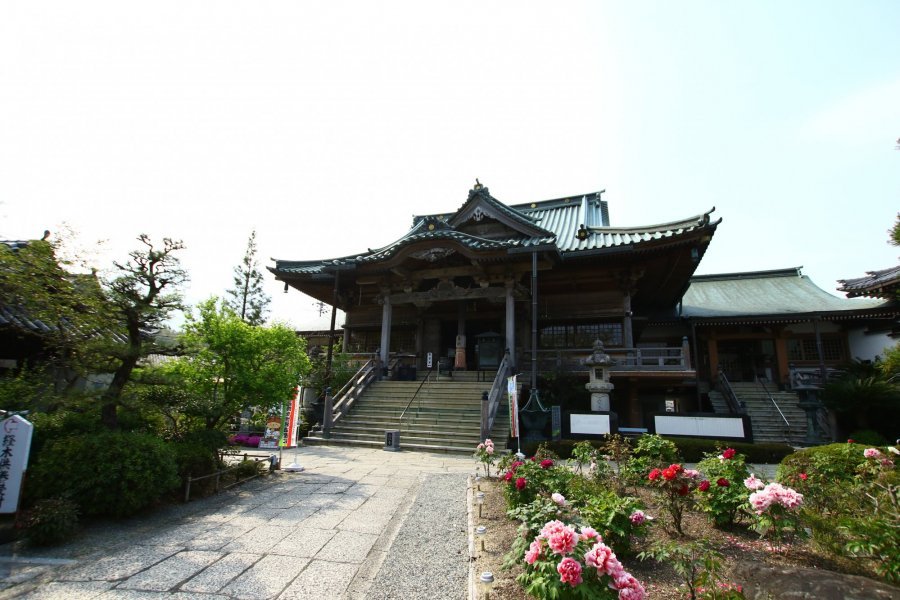 🏛️ 시코쿠 88개소 영지 제19번 패찰소 타츠에지 사원 (立江寺) 이미지 8